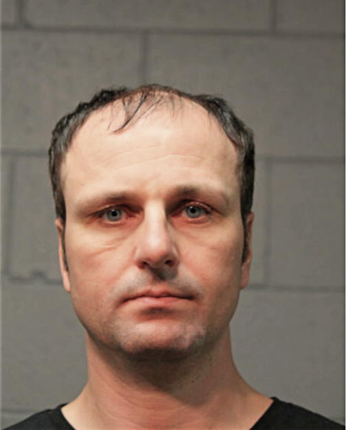 DAVID M PURALEWSKI, Cook County, Illinois