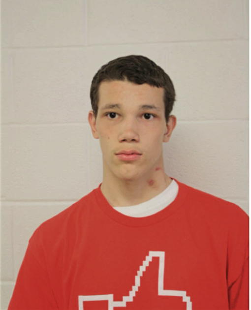DEONTA L SANCHEZ, Cook County, Illinois