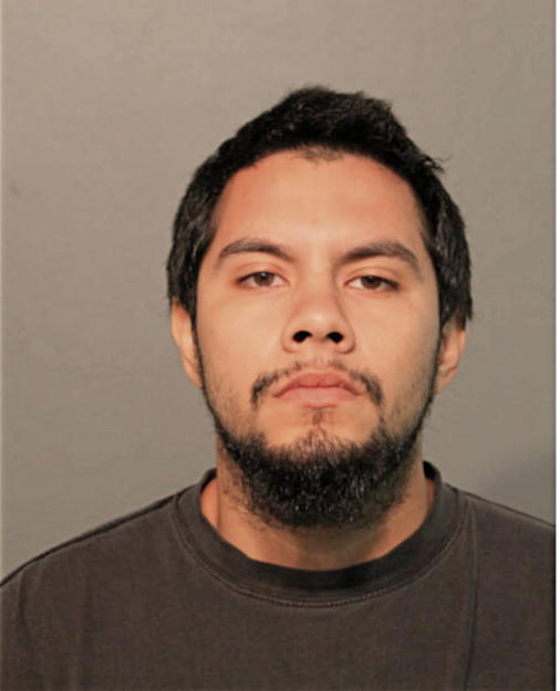 CARDENAS SEVERO, Cook County, Illinois