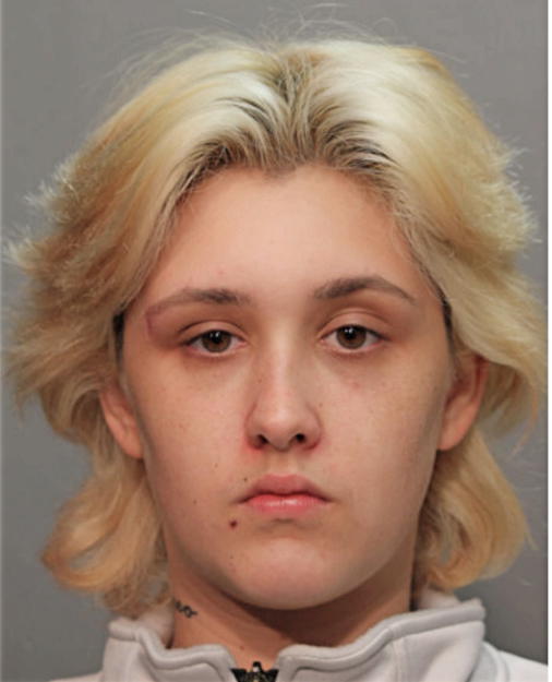 LESLIE R SINCLAIR, Cook County, Illinois