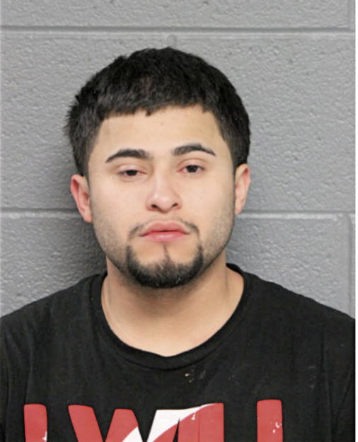 DANNY TIJERINA, Cook County, Illinois