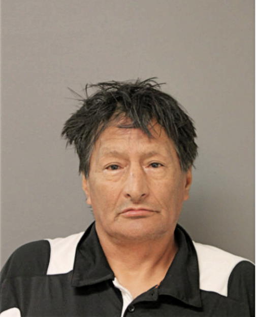 GERMAN L ARCINIEGA, Cook County, Illinois