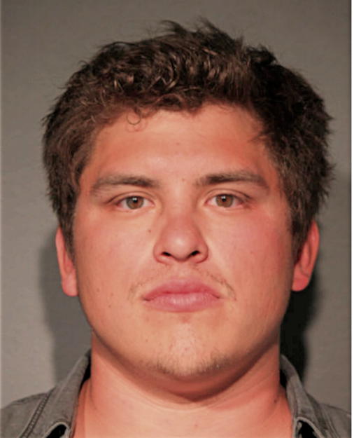 LUIS I BAEZ, Cook County, Illinois