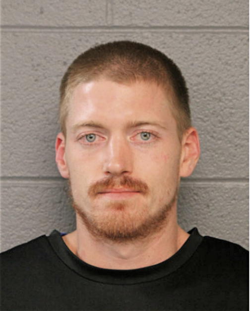 MARK L BRAMEL, Cook County, Illinois