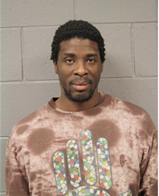 CHRISTOPHER L DAVIS, Cook County, Illinois