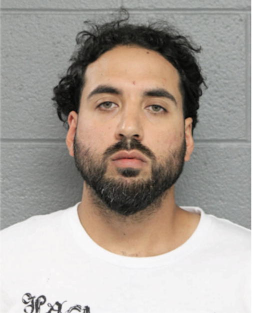 JOSE L DOMINGUEZ, Cook County, Illinois