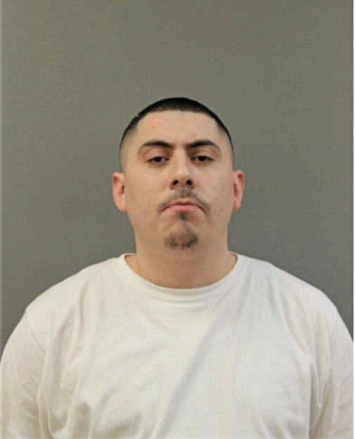 ANDREW F GAUNA, Cook County, Illinois