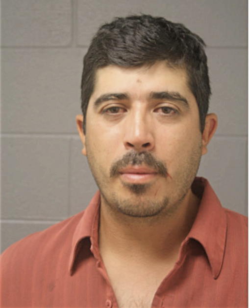 JUAN C GONZALEZ, Cook County, Illinois