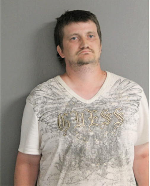 DAVID A GREEN, Cook County, Illinois