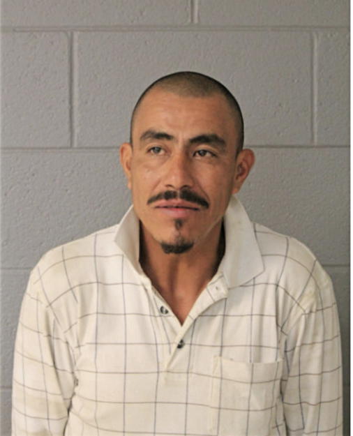 JOSE GUILLERMO MARTINEZ MARIN, Cook County, Illinois