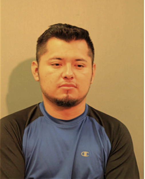 DIEGO HERAN, Cook County, Illinois