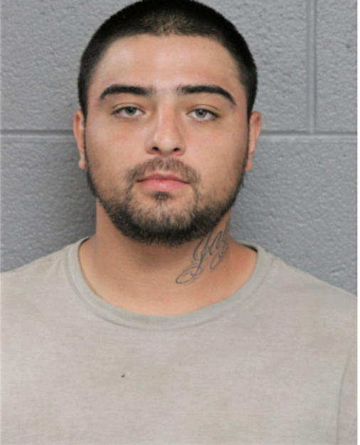 OSCAR J HERNANDEZ, Cook County, Illinois