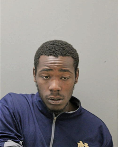 ANDRE JOHNSON, Cook County, Illinois