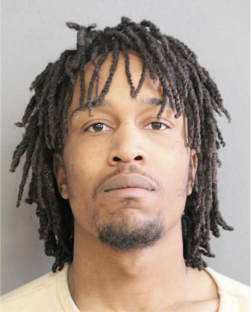 JOSHUA L JOHNSON, Cook County, Illinois