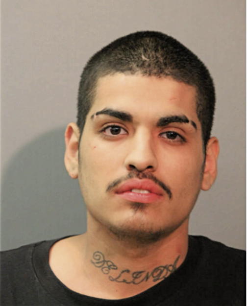 SANTIAGO LEON, Cook County, Illinois