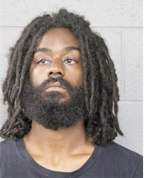 ANDY C LEWTER, Cook County, Illinois