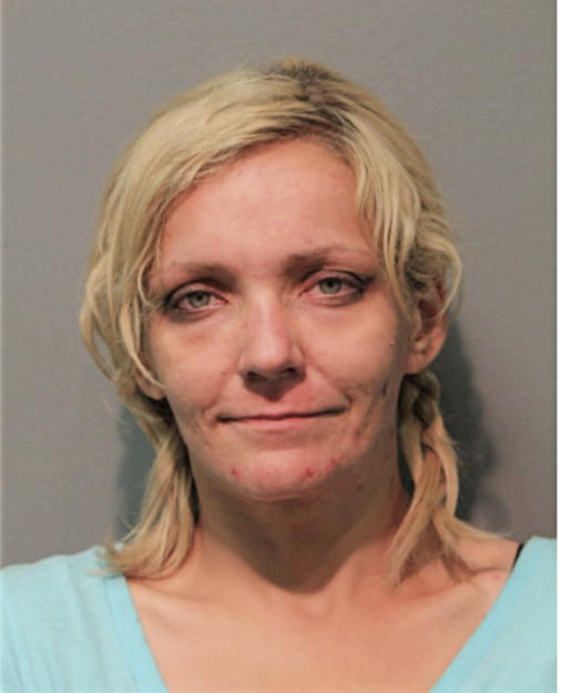 SYLVIA LISOWSKA, Cook County, Illinois