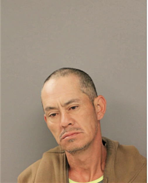 RICARDO MENESES, Cook County, Illinois