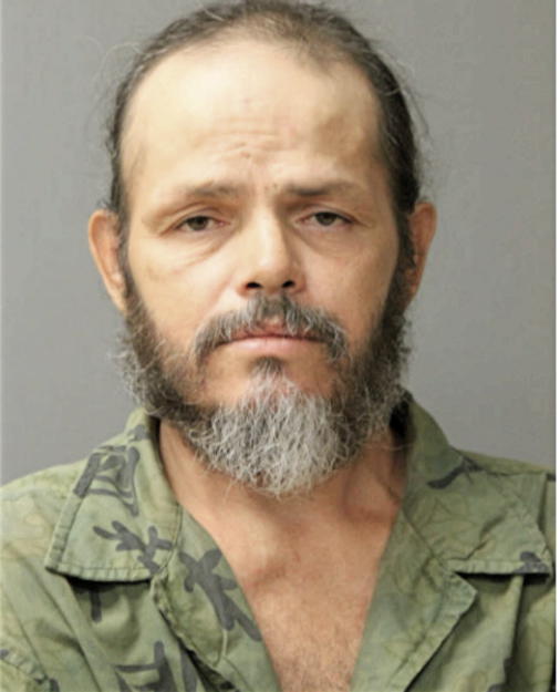 ANGEL M NEGRON, Cook County, Illinois