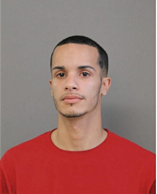 MICHAEL A ROLDAN, Cook County, Illinois