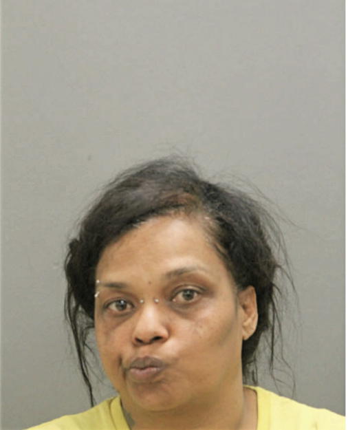 KIRAN T RUDON, Cook County, Illinois