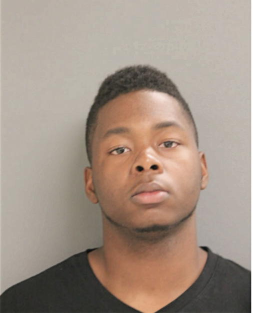 KOURTNEY L YOUNG, Cook County, Illinois