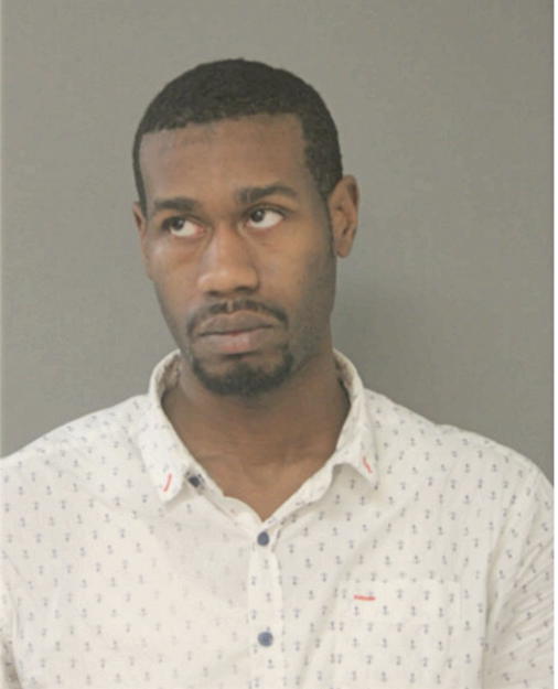 MICHAEL E ANDERSON, Cook County, Illinois