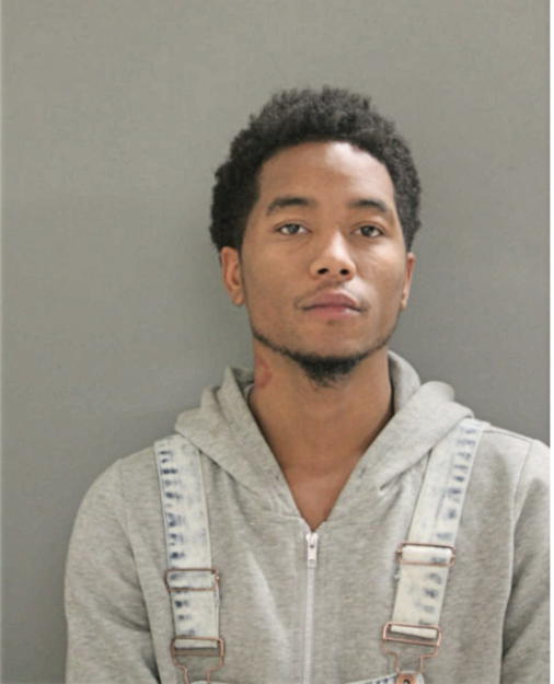 TIMOTHY L DOTSON, Cook County, Illinois