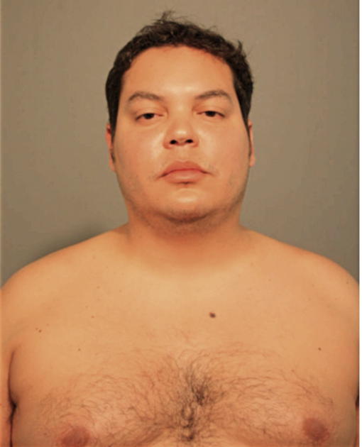 NELSON S GARCES, Cook County, Illinois