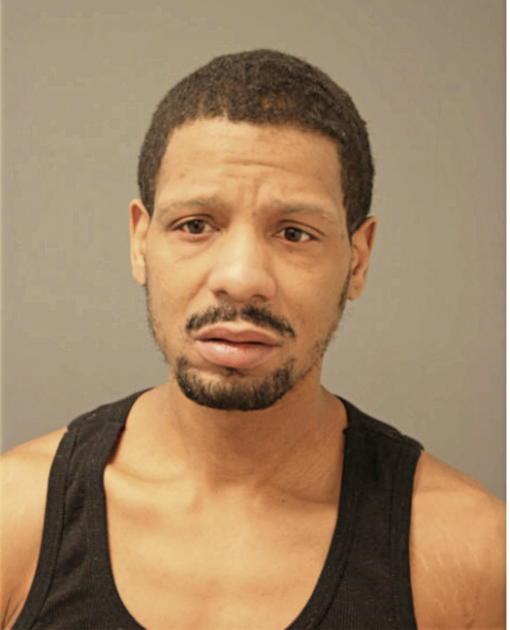 SHAWN L HAYES, Cook County, Illinois