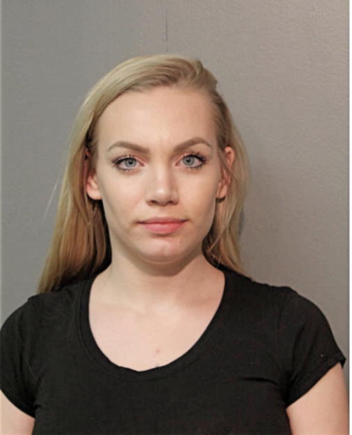 NICOLE A JAMES, Cook County, Illinois
