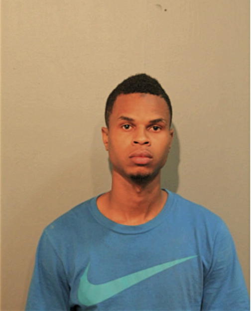 DENIKKO J JOHNSON, Cook County, Illinois