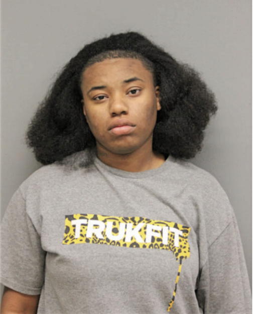 ASHLEY L LEWIS, Cook County, Illinois