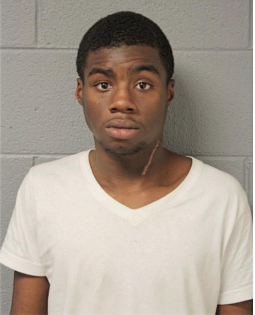 CHRISTOPHER L LEWIS, Cook County, Illinois