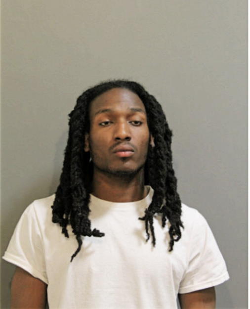 DMARIO A LEWIS, Cook County, Illinois