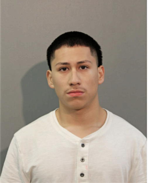 DERRICK LLAMAS, Cook County, Illinois