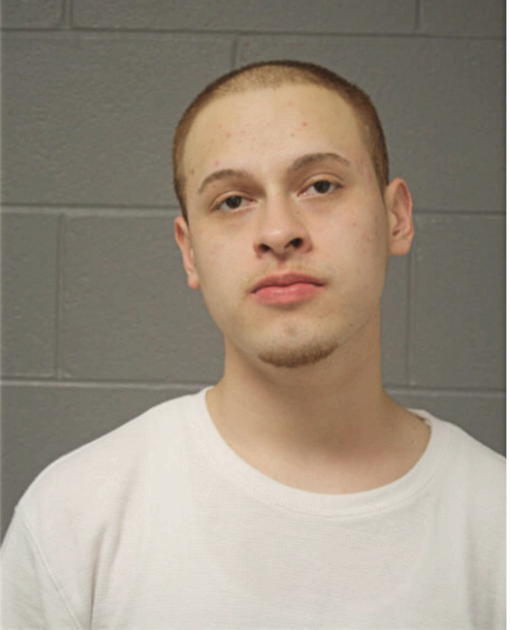 FABIAN R MAGDALENO, Cook County, Illinois