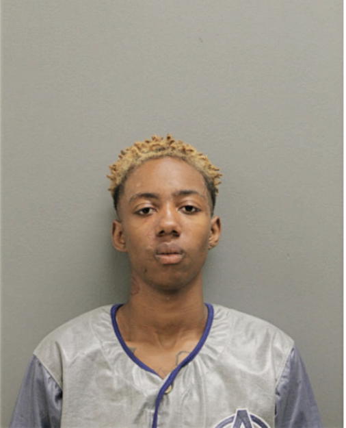 SHALISA K MCCOY, Cook County, Illinois