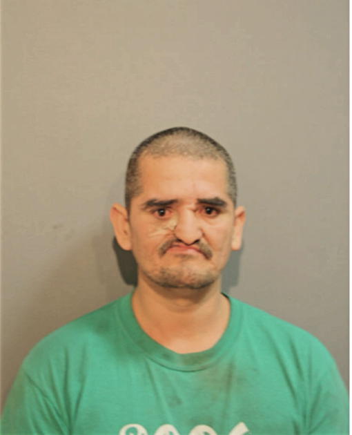 TIBURCIO MEDINA, Cook County, Illinois