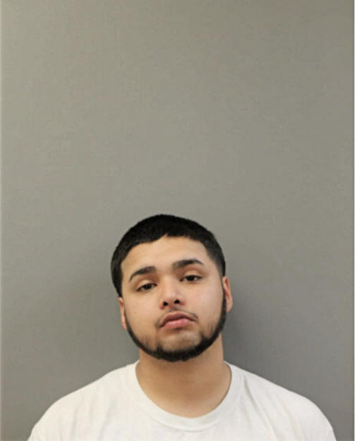 JOSEPH J PALACIOS FLORES, Cook County, Illinois