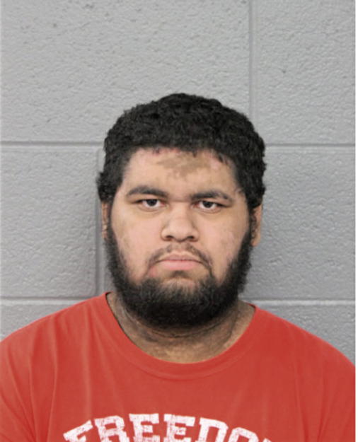 ALFONSO PALMA, Cook County, Illinois