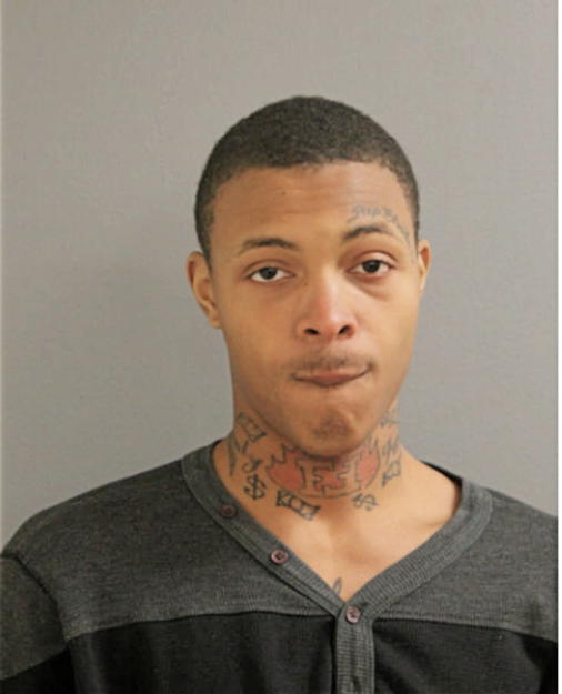 DAVID T RICHARDSON, Cook County, Illinois