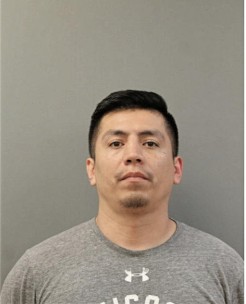 JUAN C SALGADO, Cook County, Illinois