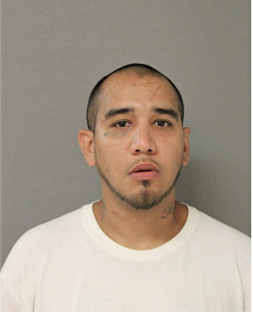 ANTHONY R SANTANA, Cook County, Illinois
