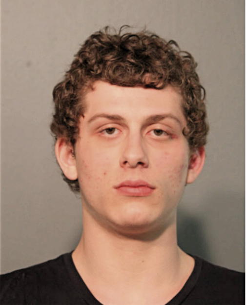 PAOLO A SIERRA, Cook County, Illinois