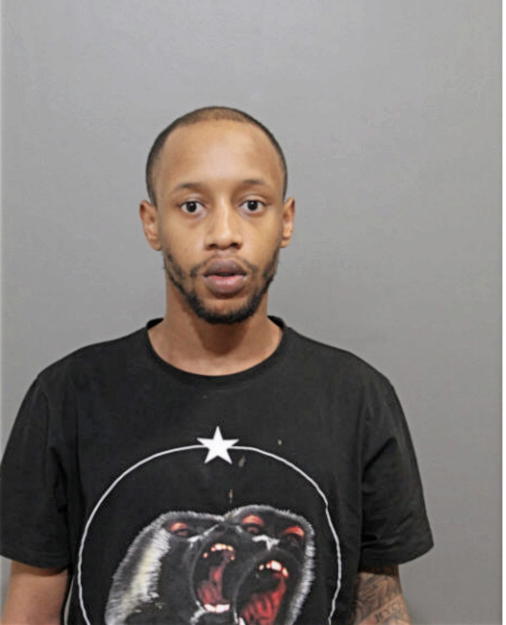 MICHAEL T TAYLOR, Cook County, Illinois