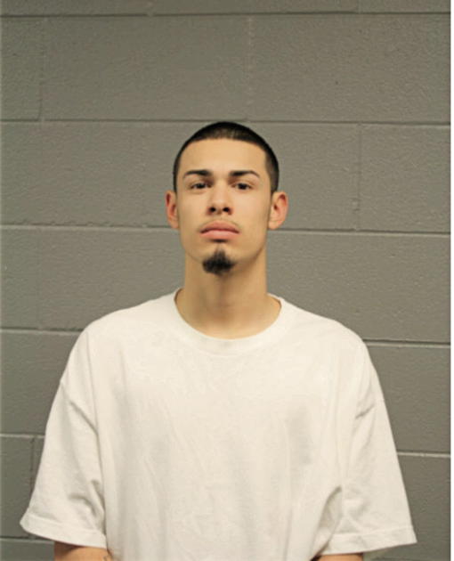LUIS S VELA, Cook County, Illinois