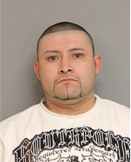 JAVIER VILLASENOR, Cook County, Illinois