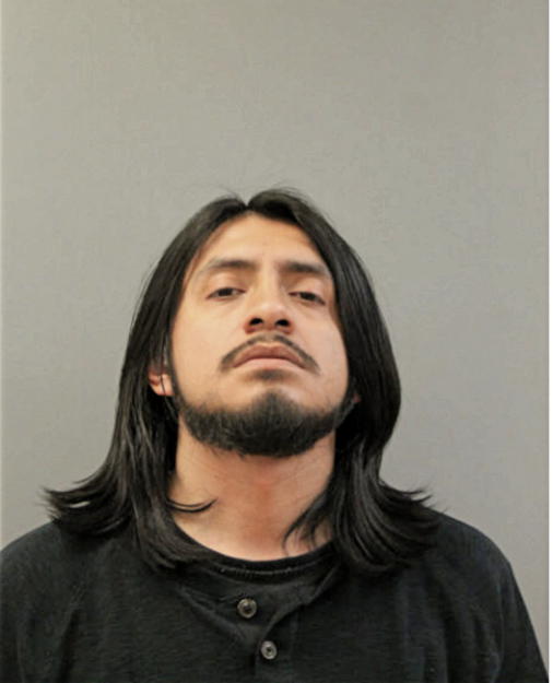 FERNANDO S ACEVEDO, Cook County, Illinois