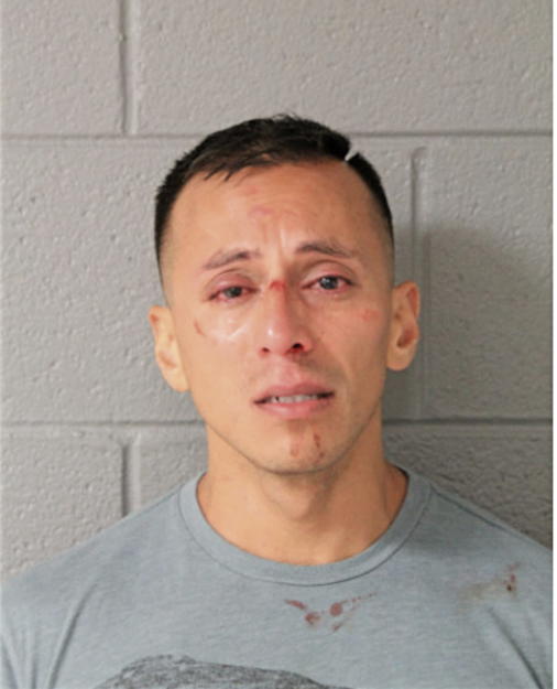 JAMIE AMEZOLA, Cook County, Illinois